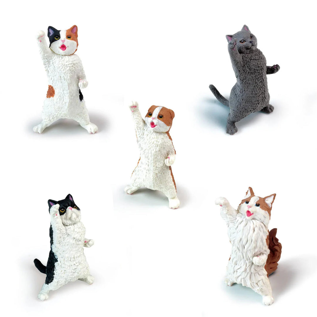 Cat Cheer NYAoooo! Assorted Blind Box Mini Figure Yell