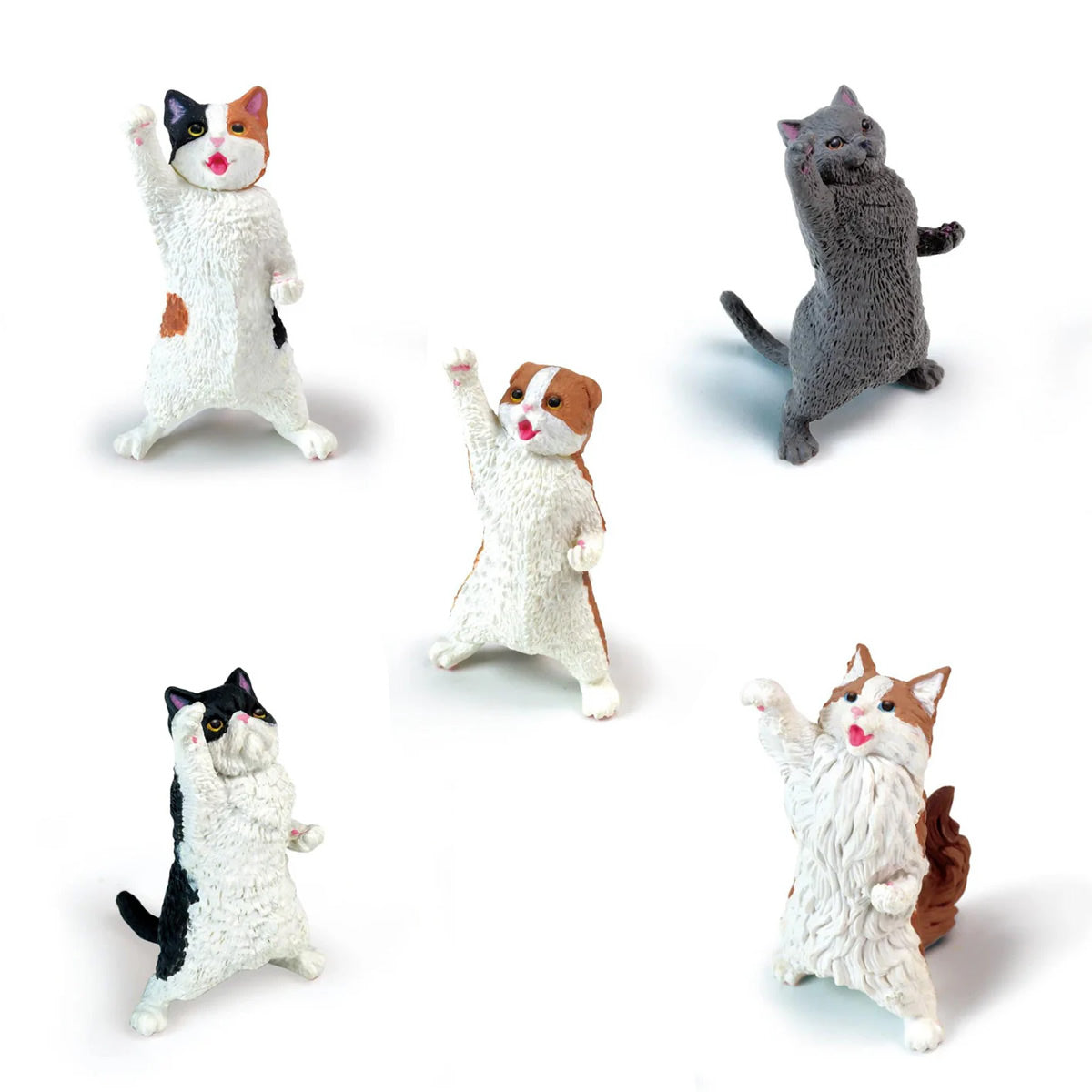 Cat Cheer NYAoooo! Assorted Blind Box Mini Figure Yell