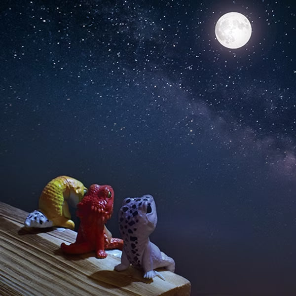 Fuchiyasumi Hanging Leopard Geckos Assorted Blind Box Mini Figure Yell