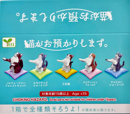 Leave It to the Cats (Neko ga Oazukari Shimasu) Assorted Blind Box Mini Figure Yell
