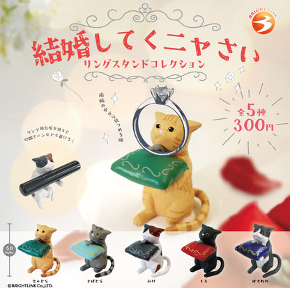 Please Marry Me (Kekkon Shite Kunyasai) Assorted Blind Box Ring Stand Mini Figure Brightlink